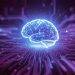Brain-Computer Interface