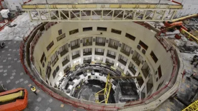 ITER Fusion Reactor