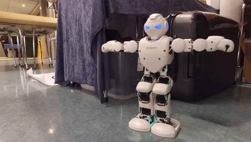 Humanoid robot