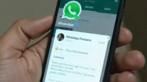 WhatsApp updates concerns 1