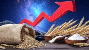 food security